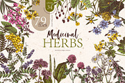 Hand drawn medicinal herbs, a Healthcare Illustration by handsketched (Thumbnail 1 of 14)
