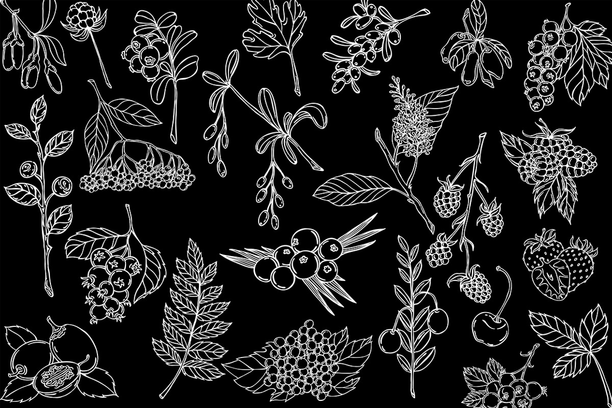 Vector berries, an Illustration by risovanya (Photo 7 of 9)
