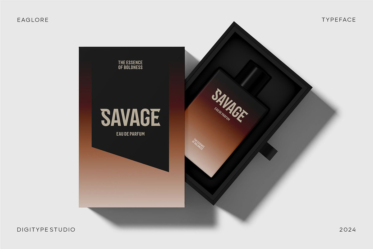Eaglore Sport Font, a Sans Serif Font by Digitype Studio (Photo 4 of 10)