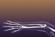 Human Skeleton in Body (X-Ray), a Characters & Person 3D Model by VisualCG (Thumbnail 5 of 8)
