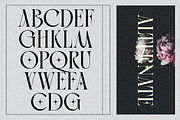 Golden Brown - Modern Serif Typeface, a Serif Font by Comactype Foundry (Thumbnail 20 of 20)