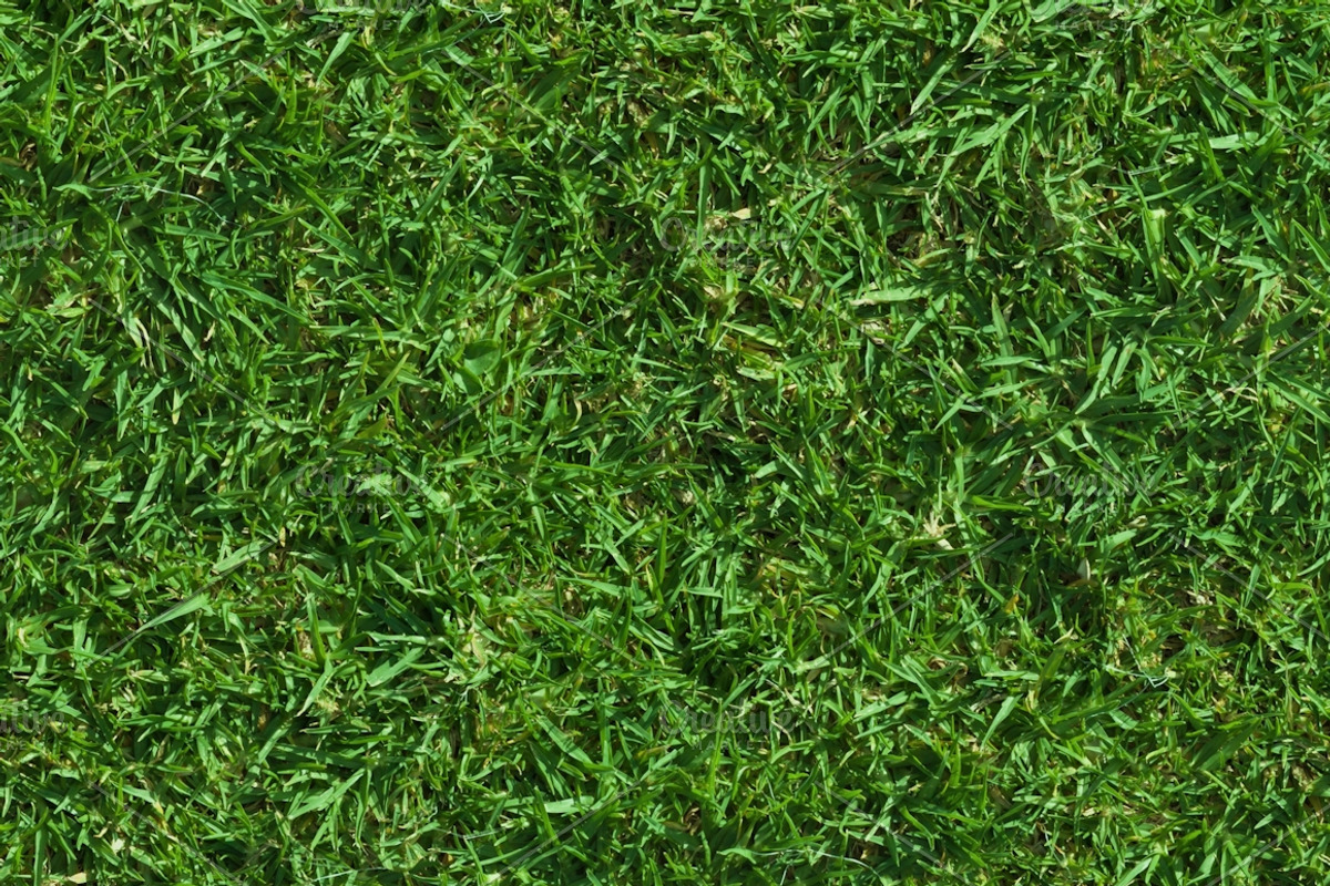 Lush Seamless Grass Texture, a Texture Graphic by Textures Shop