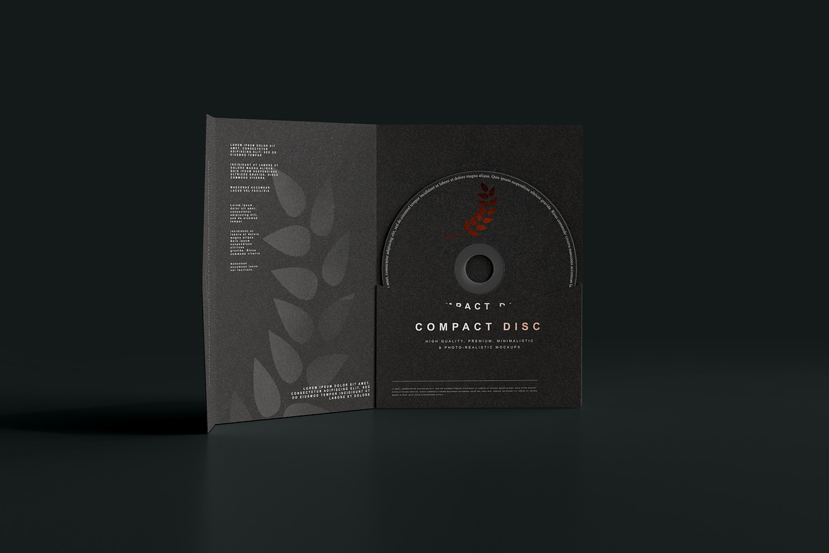 Disc & Sleeve Mockup, a Product Mockup by pmvch (Photo 8 of 10)