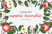 Hand drawn watercolor apple set, an Illustration by OlyaSenko (Thumbnail 1 of 4)