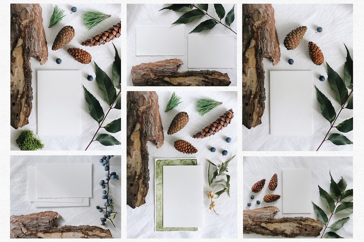 22 Autumn/Winter Flat Lay Photos, a Nature Photo by Helga Wigandt (Photo 3 of 5)