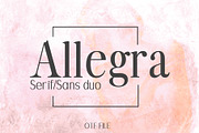 Font Bundle: 80+ professional fonts, a Font by Dene Studios (Thumbnail 28 of 31)