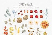 Spicy Fall herbs & berries, a Decorative Illustration by Volha Studio (Thumbnail 8 of 9)