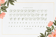 Harvintelis | Beauty Calligraphy, a Script Font by Denustudios (Thumbnail 11 of 12)