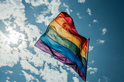 LGBT flags. 51 images, an Abstract Photo by Handmadefont (Thumbnail 7 of 12)