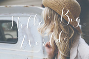 Fashionista Modern Calligraphy, a Script Font by Emily Spadoni (Thumbnail 3 of 9)