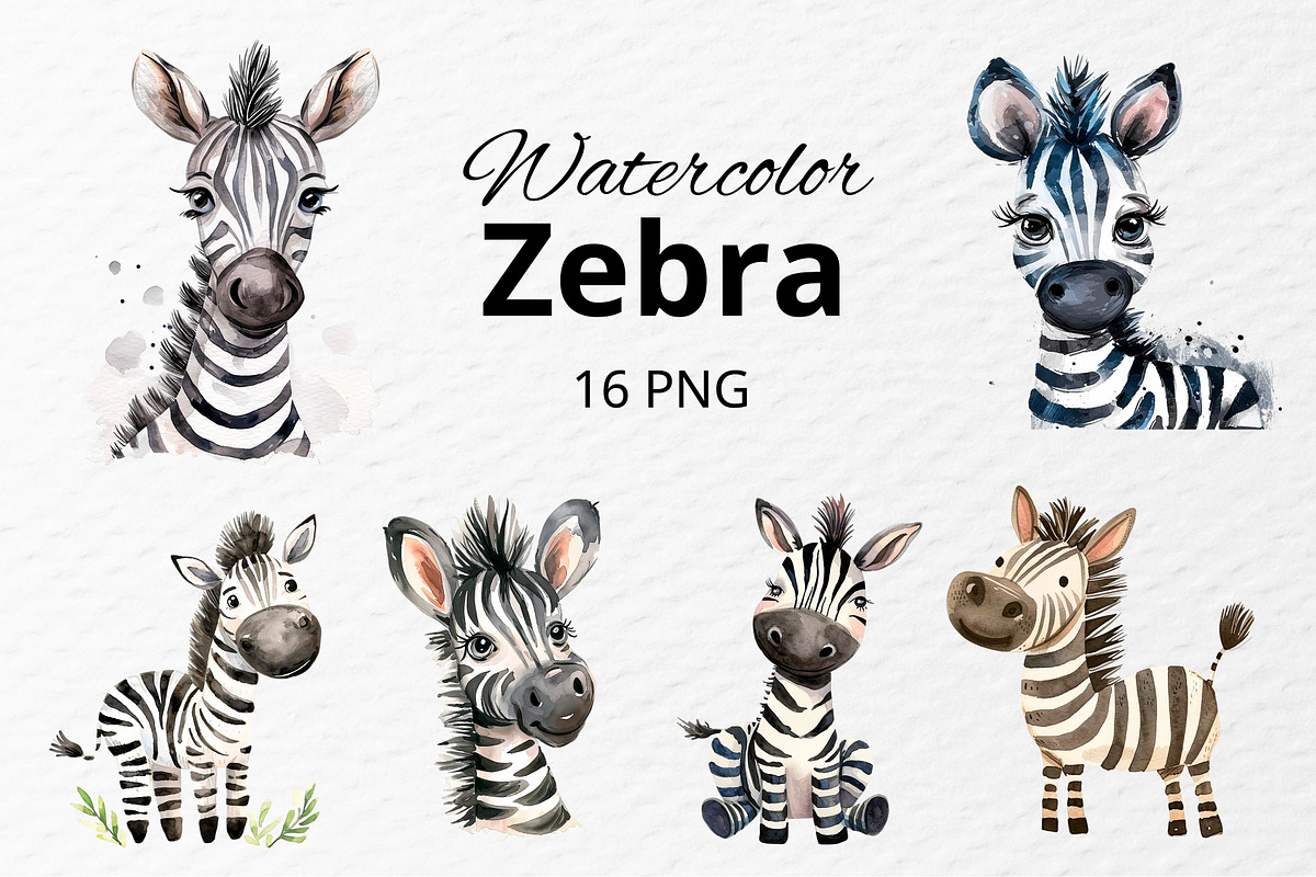 Watercolor zebra clipart, an Illustration by Idressart (Photo 1 of 10)