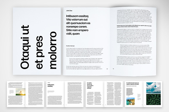 Professional Report Template preview 6