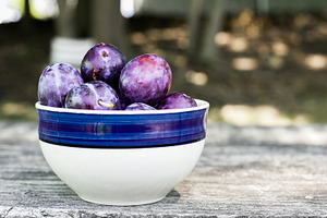 Freshly harvested plums in a blue an, a Food & Drink Photo by 1miromiro