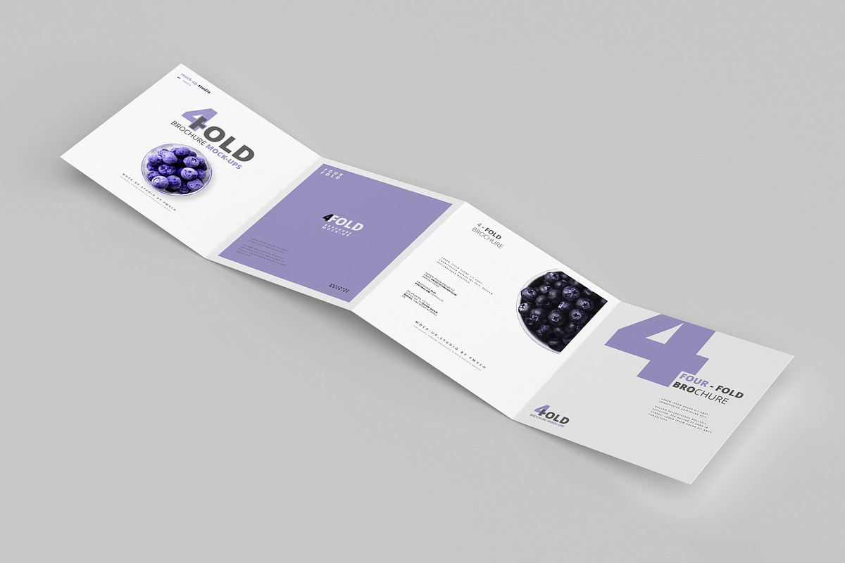 165 Brochure Mock-ups Big Bundle, a Print Template by pmvch (Photo 42 of 170)