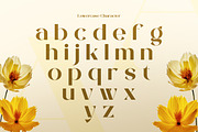 Vangier - Elegant Sans Serif Font, a Sans Serif Font by Flawless And Co (Thumbnail 7 of 10)