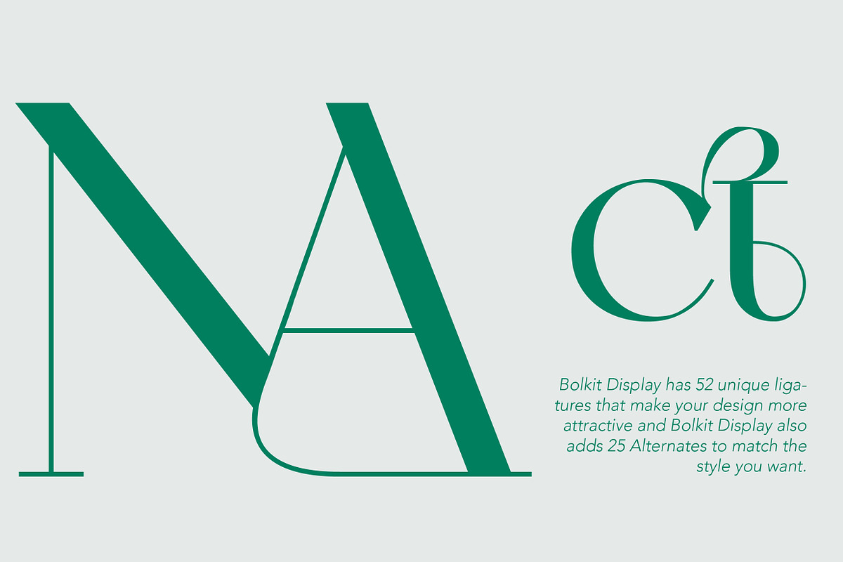 ZT Bolkit - Display Serif, a Serif Font by zelow type (Photo 13 of 15)