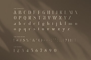 Aginda Elegant Serif Font, a Serif Font by Perfectype (Thumbnail 7 of 8)