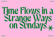 TAN - SALTERS, a Font by TanType (Thumbnail 5 of 14)