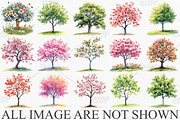 Watercolor Spring Tree Clipart PNG, an Illustration by Canvas Craft (Thumbnail 3 of 7)