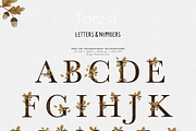 Forest animals. Alphabet & Patterns, an Animal Illustration by annartdreams (Thumbnail 8 of 11)