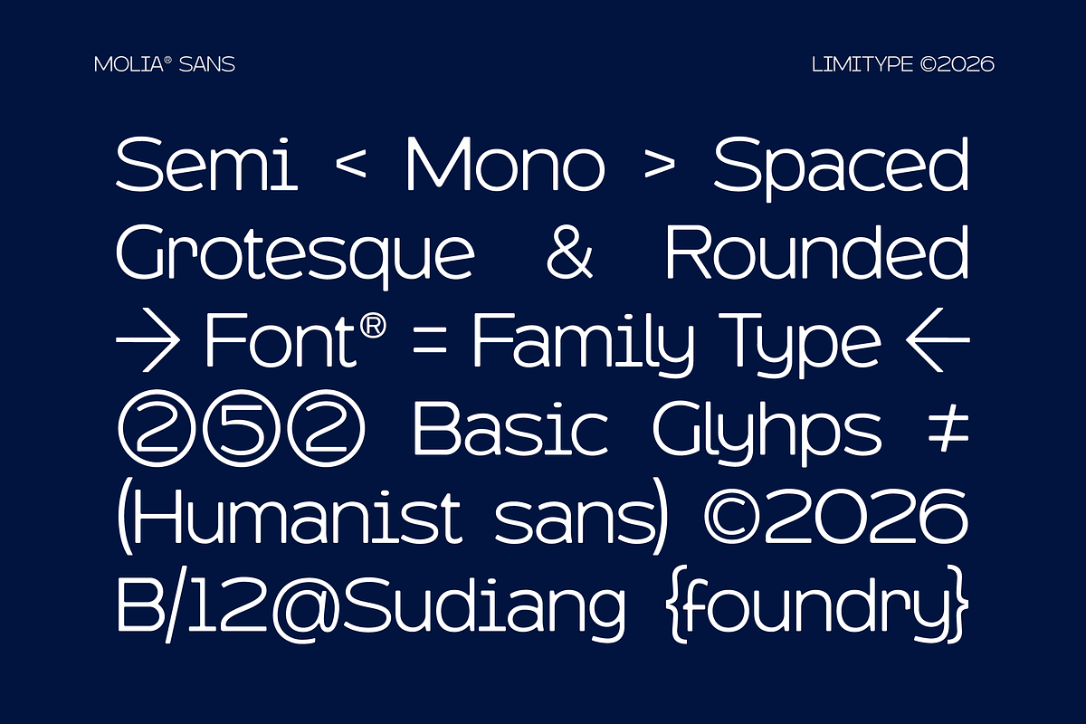 Molia - Sans Serif Font, a Sans Serif Font by limitype (Photo 7 of 12)