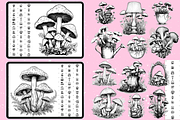 2235 BUNDLE Procreate Stamp Brushes, a Brush Add-On by Revabrush (Thumbnail 16 of 17)