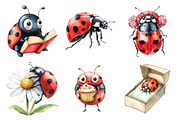 Cute Ladybug Clipart, an Illustration by Daily.Designs (Thumbnail 2 of 5)
