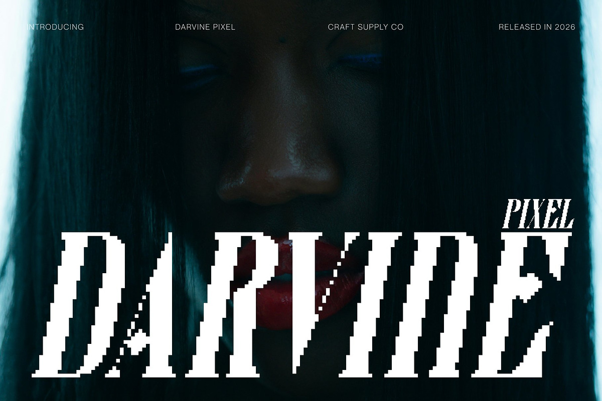 Darvine Pixel, a Serif Font by Craft Supply Co. (Photo 1 of 8)