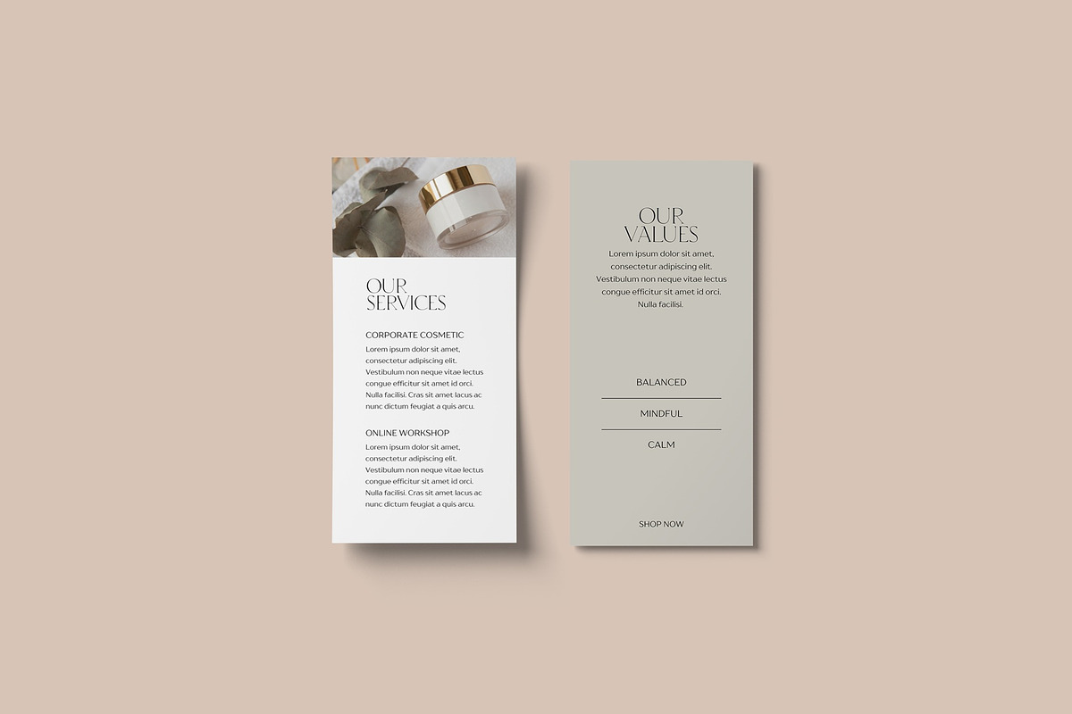 DL Brochure Mockup preview 2
