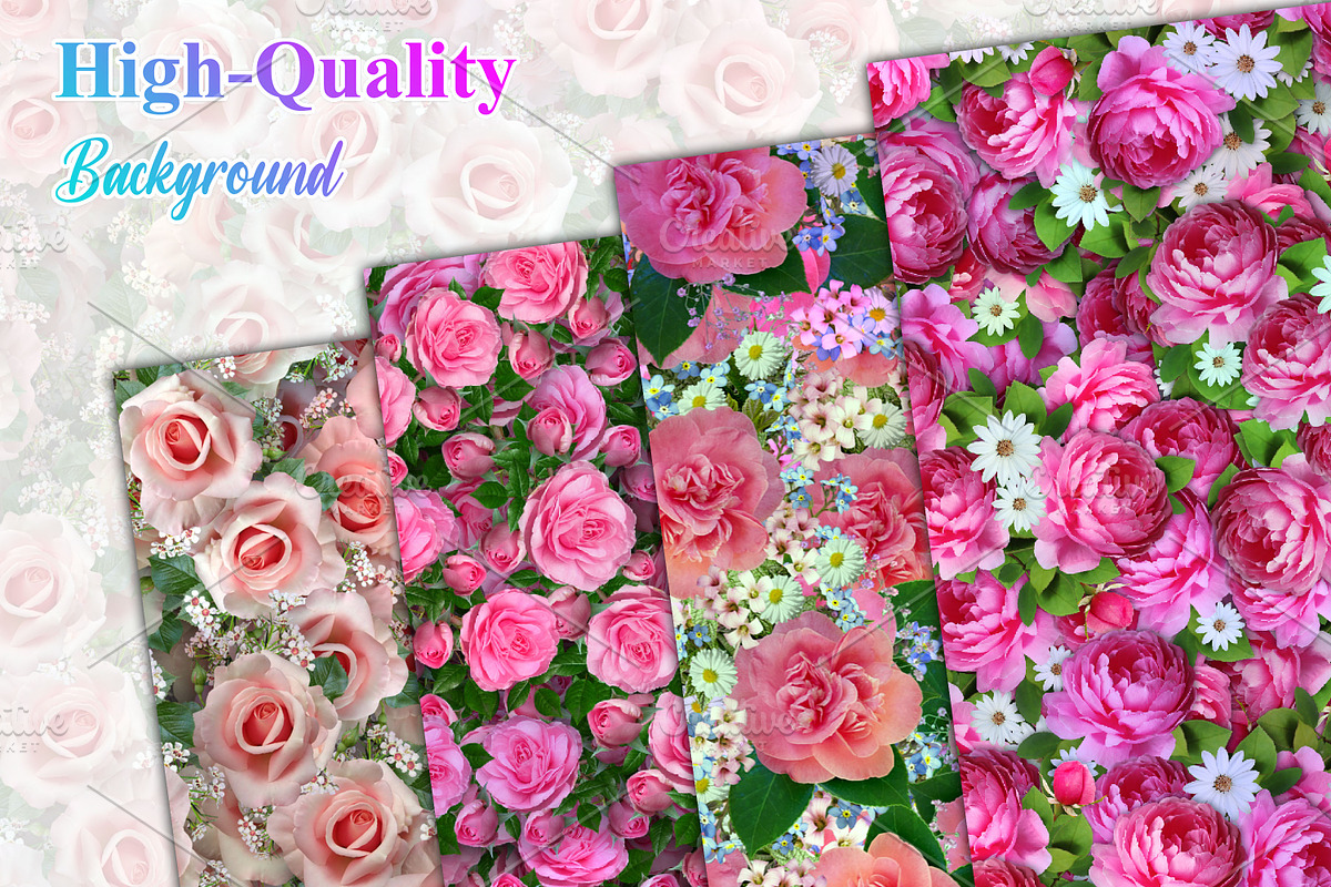 Pink Flower Background, a Background Photo by Digital Studio (Photo 2 of 18)
