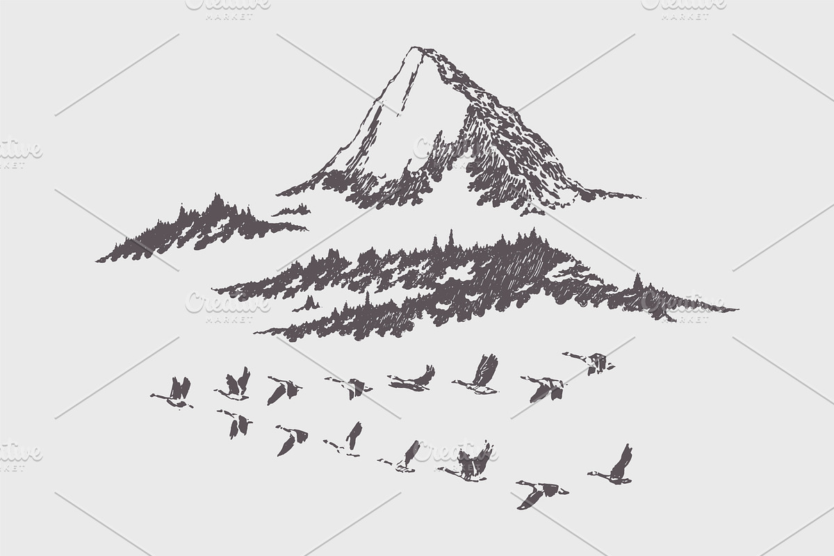 High detail mountain landscapes, an Illustration by TheMountBirdStudio (Photo 6 of 9)