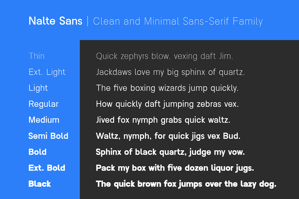 Nalte Sans Family | Intro 60% OFF, a Sans Serif Font by Lettertype Studio (Photo 3 of 15)