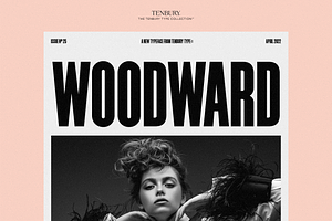 10B Woodward: Editorial Sans