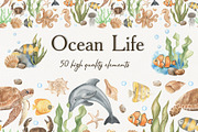 Watercolor ocean life, an Animal Illustration by ViolettaKh (Thumbnail 1 of 9)