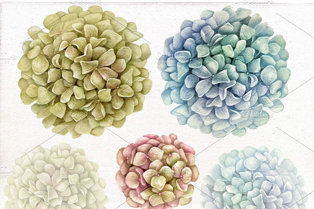 Thanksgiving watercolor Bundle., an Illustration by Mary (Photo 5 of 9)
