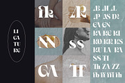 Ornable Experimental Typeface, a Serif Font by Casloop Studio (Thumbnail 3 of 8)