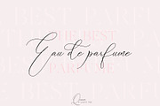 New Washington Script and Serif, a Script Font by Teweka (Thumbnail 3 of 10)