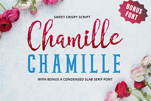 Chamille | sweet script