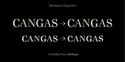 Cardillac Text, a Serif Font by Hoftype (Thumbnail 9 of 15)