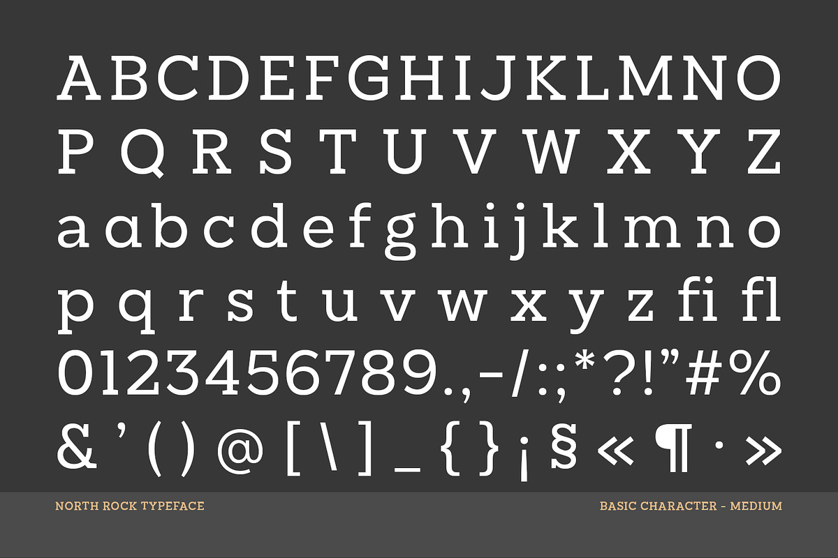 North Rock – Versatile Slab Serif, a Slab Serif Font by Almarkhatype (Photo 8 of 12)