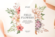 Field autumn flowers. Watercolour, an Illustration by Kate Macate (Thumbnail 1 of 8)