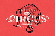 The Circus Display Font, a Handwritten Font by PremiumMockup (Thumbnail 1 of 5)