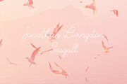 Clara Cake Script + emoji font, a Handwritten Font by Type Tale (Thumbnail 5 of 11)