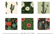 Cactus Flower Retro Art Designs, a Pattern Graphic by karenfoleyphoto (Thumbnail 12 of 18)