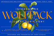 Wolfpack Elegant Stylish Font, a Serif Font by Vampstudio (Thumbnail 1 of 14)