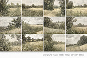 Cow Parsley Fields, a Decorative Illustration by rileyBgraphics (Thumbnail 2 of 6)