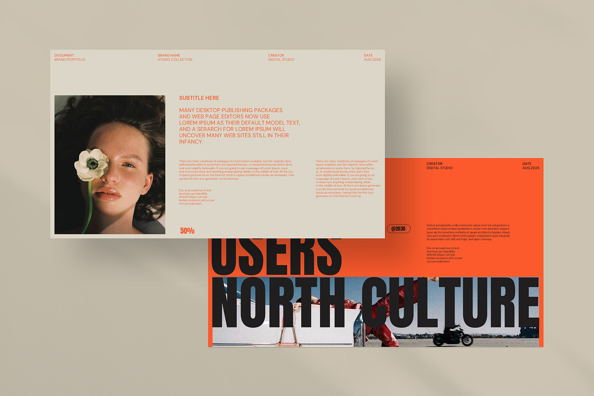 Brand Portfolio Presentation preview 7