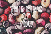 Wildin' - a Layered Font Family, a Font by CraftyLittleNodes (Thumbnail 5 of 9)