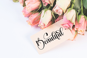 Amsterdam | Script Font, a Handwritten Font by Scratchones (Thumbnail 3 of 9)