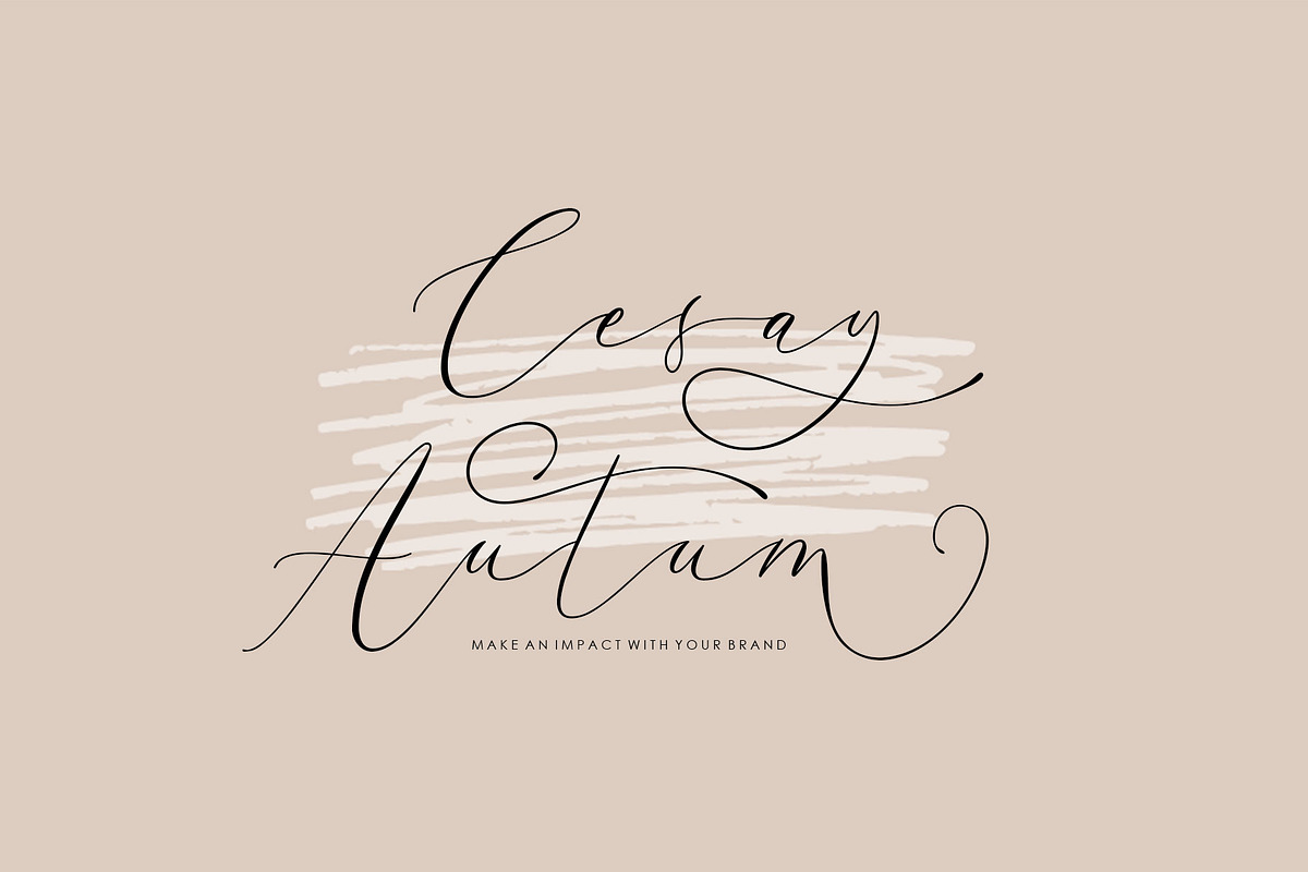 Amber Dishonest, a Script Font by moriztype (Photo 6 of 10)